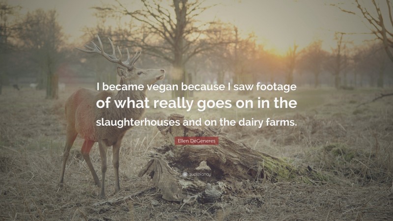 Ellen DeGeneres Quote: “I became vegan because I saw footage of what really goes on in the slaughterhouses and on the dairy farms.”