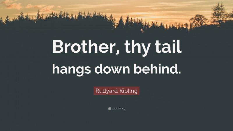 Rudyard Kipling Quote: “Brother, thy tail hangs down behind.”