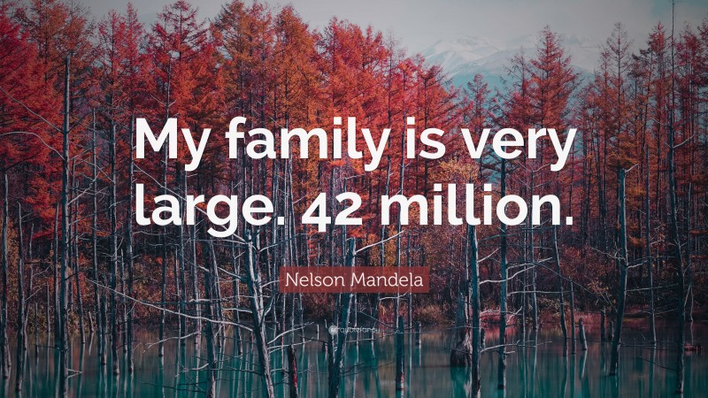 Nelson Mandela Quote: “My family is very large. 42 million.”
