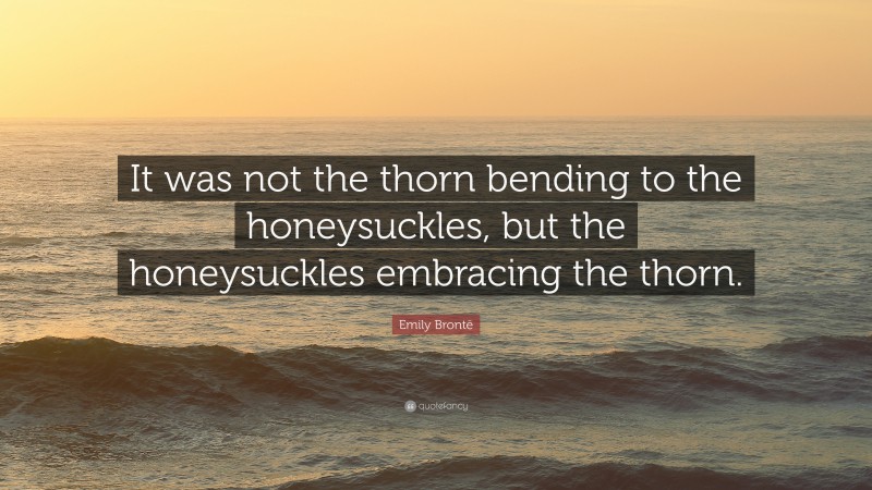 Emily Brontë Quote: “It was not the thorn bending to the honeysuckles, but the honeysuckles embracing the thorn.”