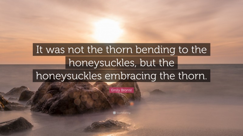 Emily Brontë Quote: “It was not the thorn bending to the honeysuckles, but the honeysuckles embracing the thorn.”