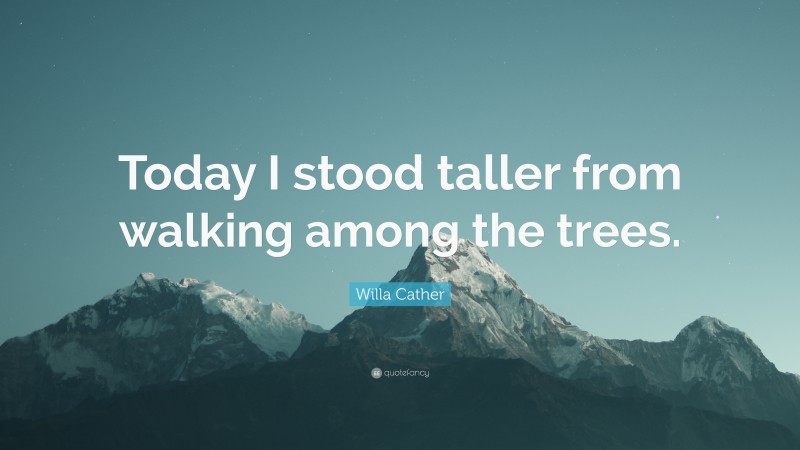 Willa Cather Quote: “Today I stood taller from walking among the trees.”