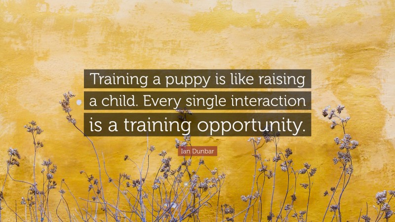 Ian Dunbar Quote: “Training a puppy is like raising a child. Every single interaction is a training opportunity.”
