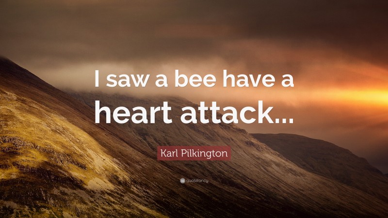Karl Pilkington Quote: “I saw a bee have a heart attack...”