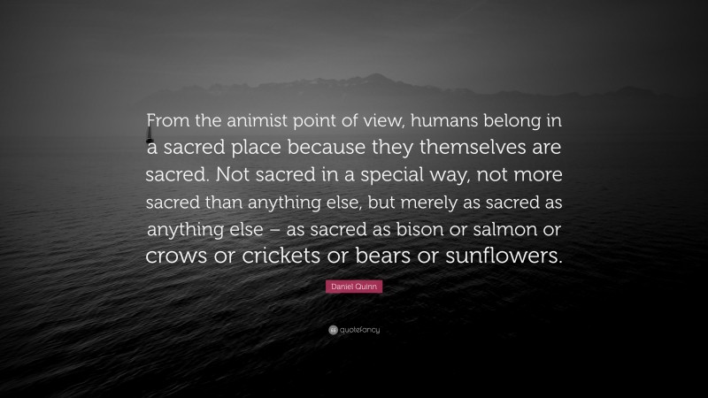 Daniel Quinn Quote: “From the animist point of view, humans belong in a sacred place because they themselves are sacred. Not sacred in a special way, not more sacred than anything else, but merely as sacred as anything else – as sacred as bison or salmon or crows or crickets or bears or sunflowers.”