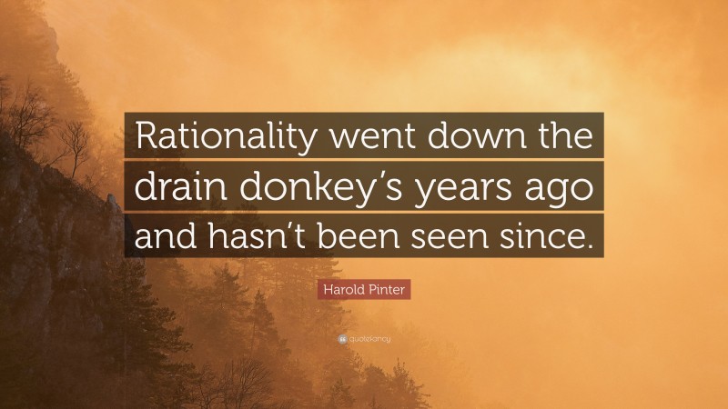 Harold Pinter Quote: “Rationality went down the drain donkey’s years ago and hasn’t been seen since.”
