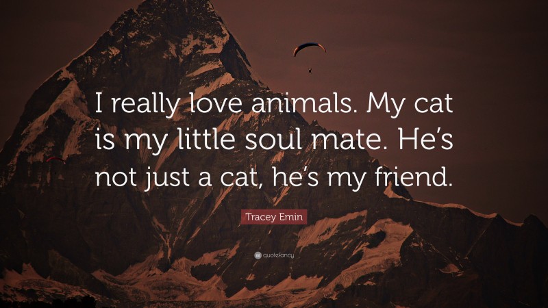 Tracey Emin Quote: “I really love animals. My cat is my little soul mate. He’s not just a cat, he’s my friend.”