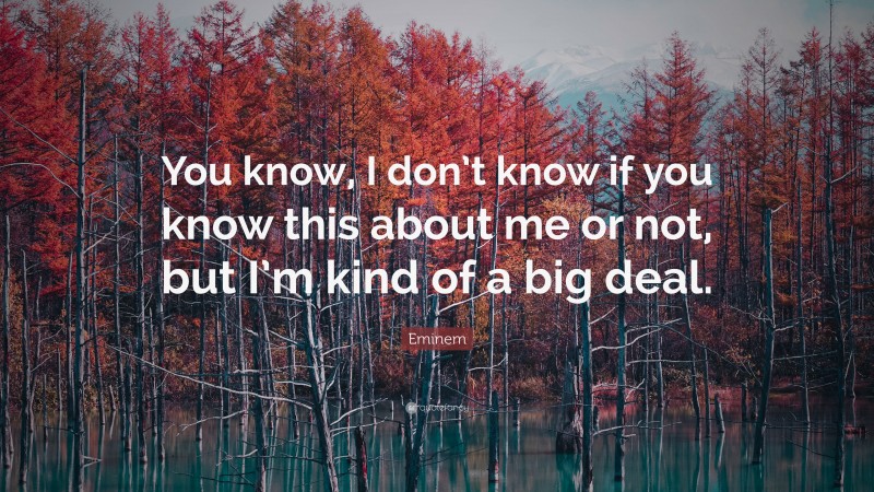 Eminem Quote: “You know, I don’t know if you know this about me or not, but I’m kind of a big deal.”