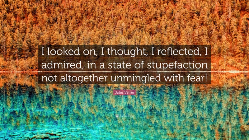 Jules Verne Quote: “I looked on, I thought, I reflected, I admired, in a state of stupefaction not altogether unmingled with fear!”