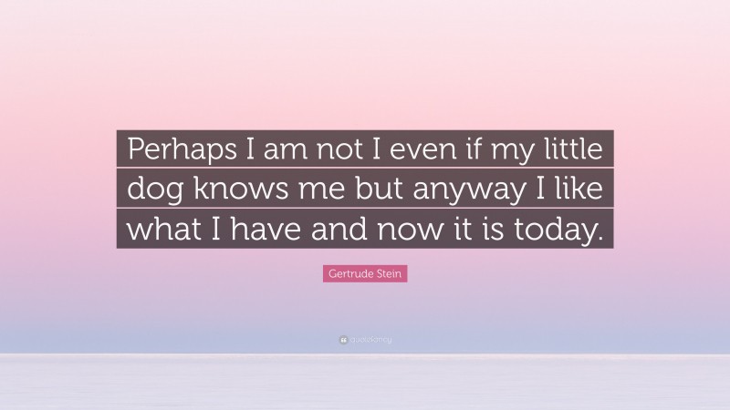 Gertrude Stein Quote: “Perhaps I am not I even if my little dog knows me but anyway I like what I have and now it is today.”