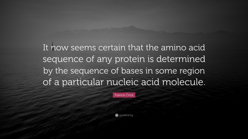 Francis Crick Quote: “It now seems certain that the amino acid sequence of any protein is determined by the sequence of bases in some region of a particular nucleic acid molecule.”