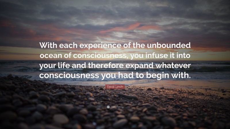 David Lynch Quote: “With each experience of the unbounded ocean of consciousness, you infuse it into your life and therefore expand whatever consciousness you had to begin with.”
