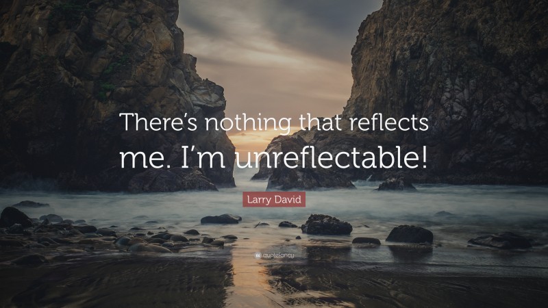 Larry David Quote: “There’s nothing that reflects me. I’m unreflectable!”