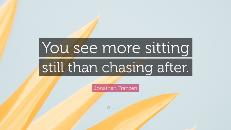 Jonathan Franzen Quote: “You see more sitting still than chasing after.”