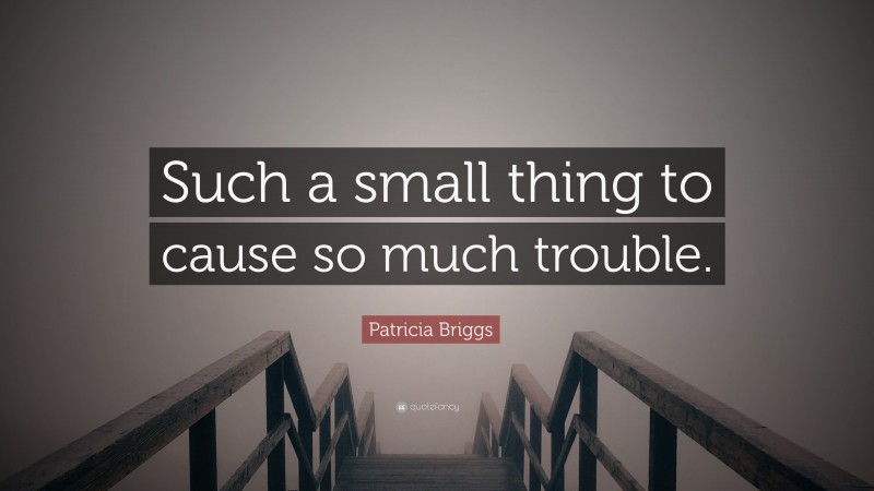 Patricia Briggs Quote: “Such a small thing to cause so much trouble.”