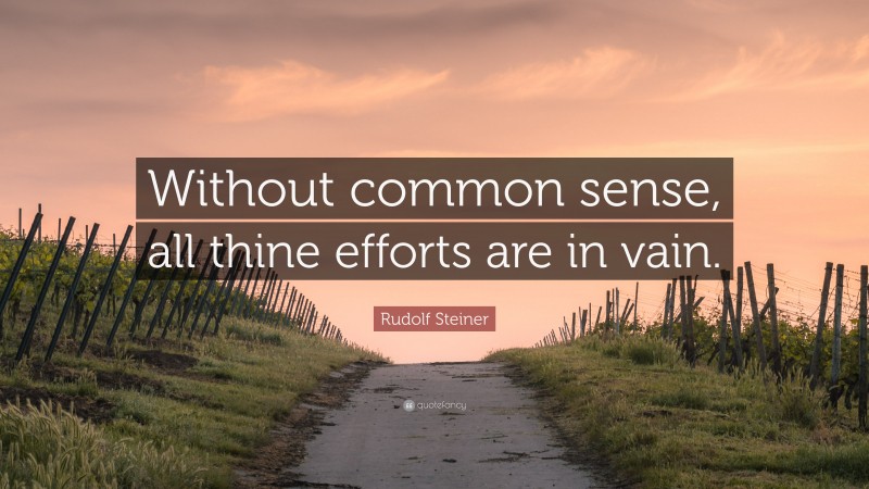 Rudolf Steiner Quote: “Without common sense, all thine efforts are in vain.”