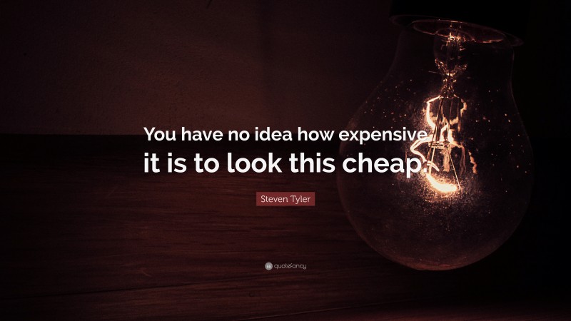 Steven Tyler Quote: “You have no idea how expensive it is to look this cheap.”