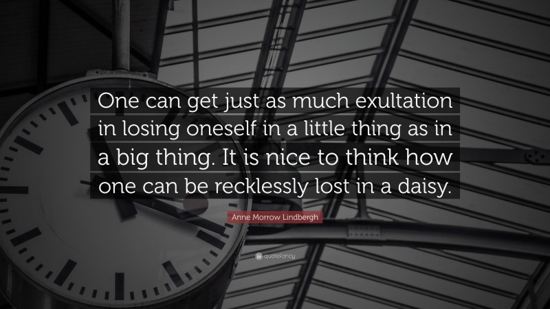 Anne Morrow Lindbergh Quote: “One can get just as much exultation in losing oneself in a little thing as in a big thing. It is nice to think how one can be recklessly lost in a daisy.”