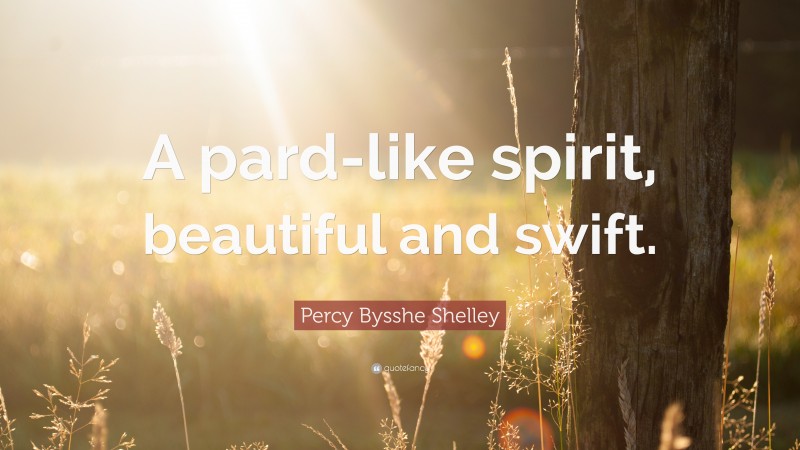 Percy Bysshe Shelley Quote: “A pard-like spirit, beautiful and swift.”