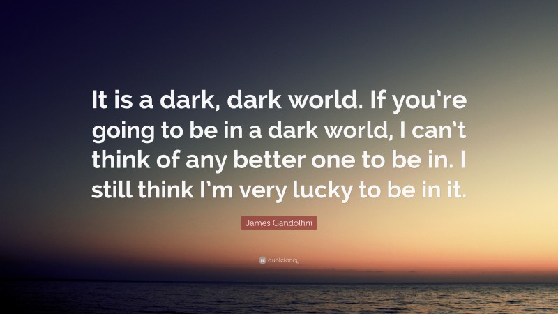 James Gandolfini Quote: “It is a dark, dark world. If you’re going to be in a dark world, I can’t think of any better one to be in. I still think I’m very lucky to be in it.”
