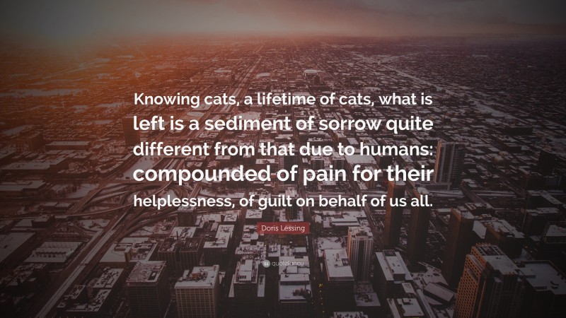 Doris Lessing Quote: “Knowing cats, a lifetime of cats, what is left is a sediment of sorrow quite different from that due to humans: compounded of pain for their helplessness, of guilt on behalf of us all.”
