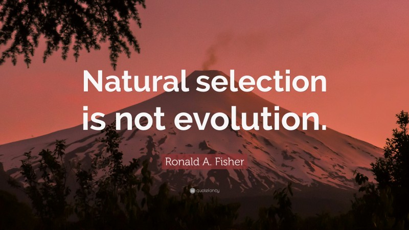 Ronald A. Fisher Quote: “Natural selection is not evolution.”