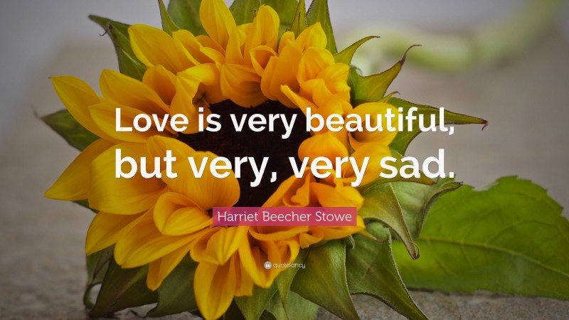 Harriet Beecher Stowe Quote: “Love is very beautiful, but very, very sad.”