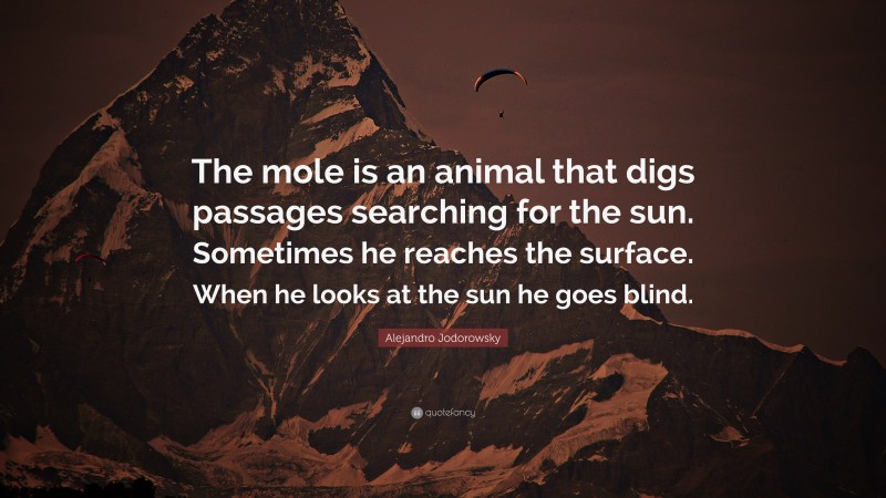 Alejandro Jodorowsky Quote: “The mole is an animal that digs passages searching for the sun. Sometimes he reaches the surface. When he looks at the sun he goes blind.”
