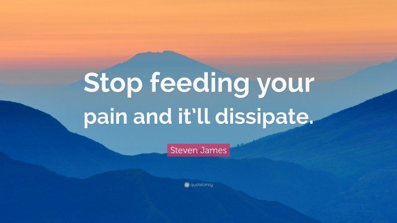 Steven James Quote: “Stop feeding your pain and it’ll dissipate.”