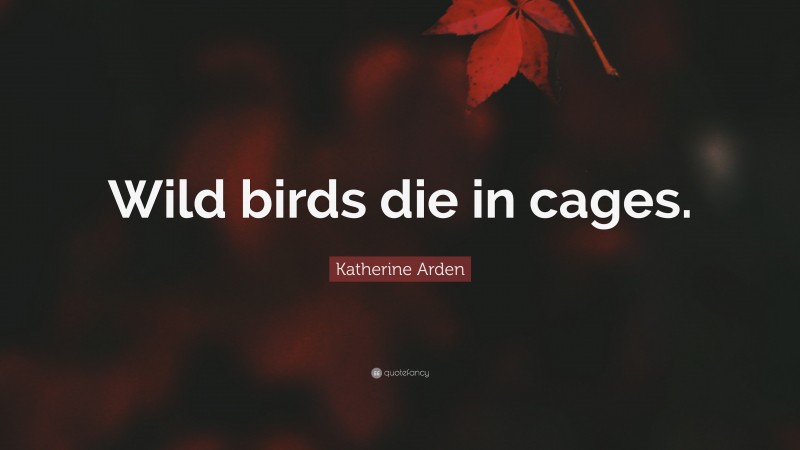 Katherine Arden Quote: “Wild birds die in cages.”