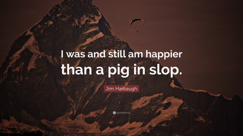 Jim Harbaugh Quote: “I was and still am happier than a pig in slop.”