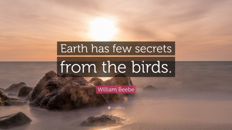 William Beebe Quote: “Earth has few secrets from the birds.”