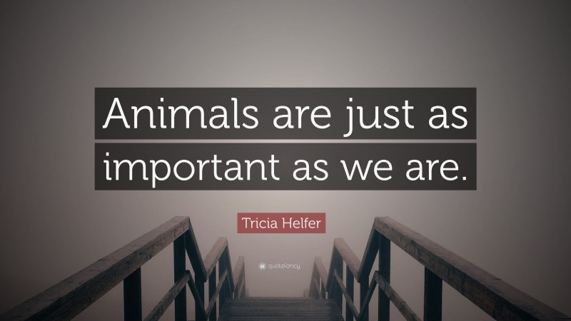 Tricia Helfer Quote: “Animals are just as important as we are.”