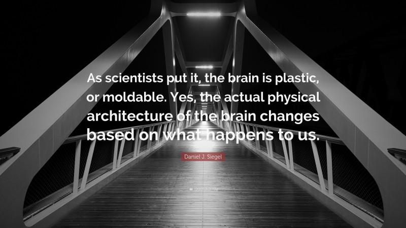 Daniel J. Siegel Quote: “As scientists put it, the brain is plastic, or moldable. Yes, the actual physical architecture of the brain changes based on what happens to us.”