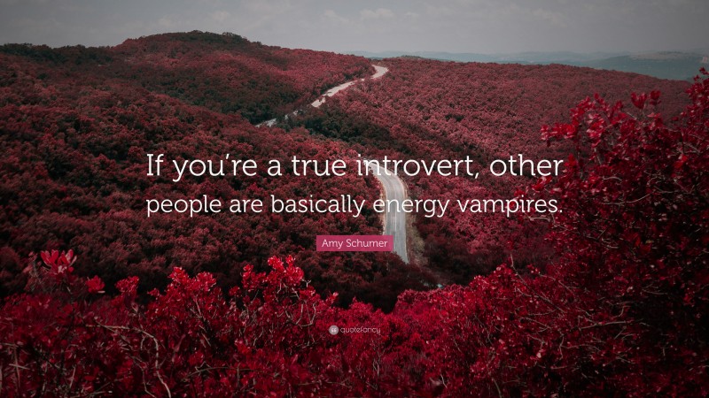 Amy Schumer Quote: “If you’re a true introvert, other people are basically energy vampires.”