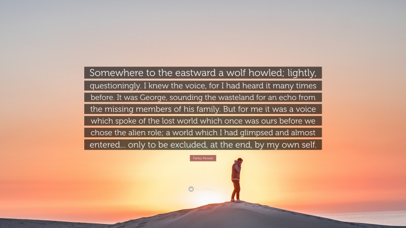 Farley Mowat Quote: “Somewhere to the eastward a wolf howled; lightly, questioningly. I knew the voice, for I had heard it many times before. It was George, sounding the wasteland for an echo from the missing members of his family. But for me it was a voice which spoke of the lost world which once was ours before we chose the alien role; a world which I had glimpsed and almost entered... only to be excluded, at the end, by my own self.”