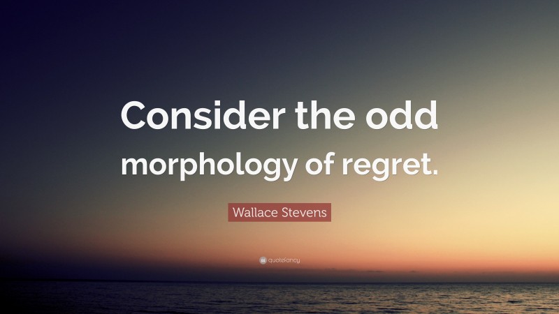 Wallace Stevens Quote: “Consider the odd morphology of regret.”