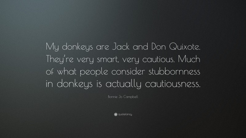 Bonnie Jo Campbell Quote: “My donkeys are Jack and Don Quixote. They’re very smart, very cautious. Much of what people consider stubbornness in donkeys is actually cautiousness.”