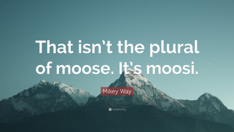 Mikey Way Quote: “That isn’t the plural of moose. It’s moosi.”