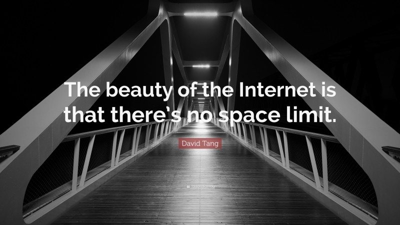 David Tang Quote: “The beauty of the Internet is that there’s no space limit.”