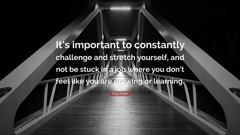 Tony Hsieh Quote: “It’s important to constantly challenge and stretch yourself, and not be stuck in a job where you don’t feel like you are growing or learning.”