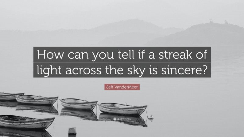Jeff VanderMeer Quote: “How can you tell if a streak of light across the sky is sincere?”