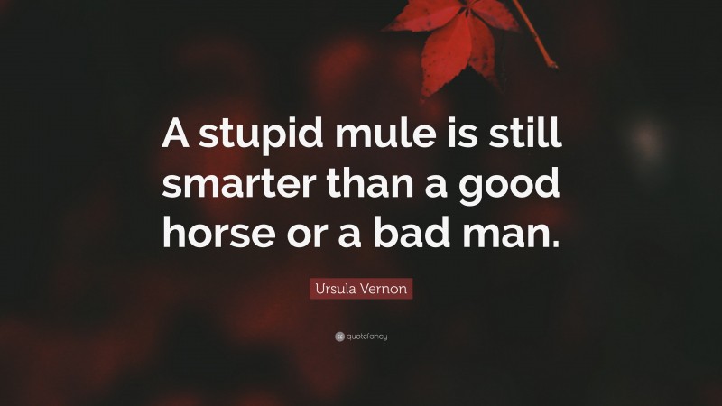 Ursula Vernon Quote: “A stupid mule is still smarter than a good horse or a bad man.”