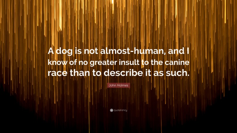 John Holmes Quote: “A dog is not almost-human, and I know of no greater insult to the canine race than to describe it as such.”