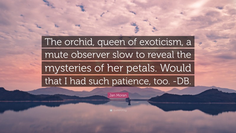 Jan Moran Quote: “The orchid, queen of exoticism, a mute observer slow to reveal the mysteries of her petals. Would that I had such patience, too. -DB.”