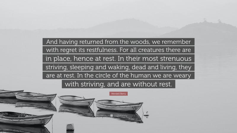 Wendell Berry Quote: “And having returned from the woods, we remember with regret its restfulness. For all creatures there are in place, hence at rest. In their most strenuous striving, sleeping and waking, dead and living, they are at rest. In the circle of the human we are weary with striving, and are without rest.”