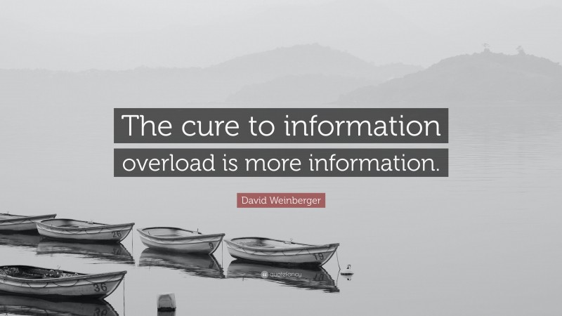 David Weinberger Quote: “The cure to information overload is more information.”