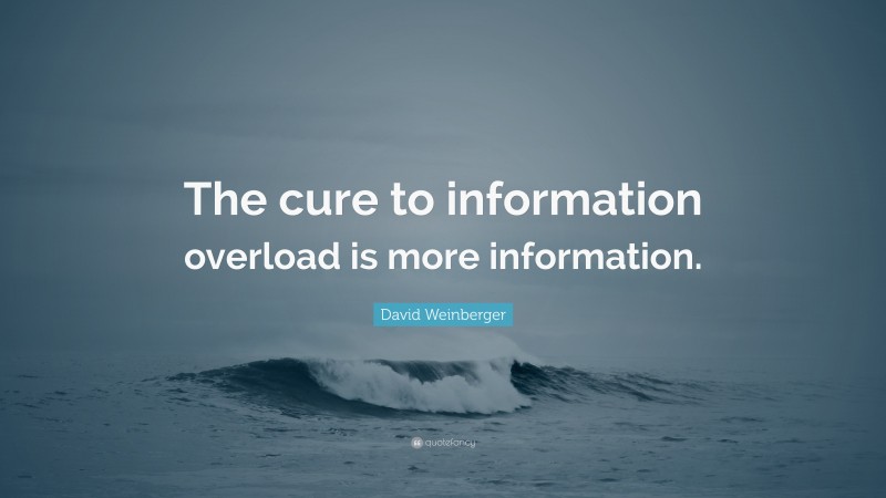 David Weinberger Quote: “The cure to information overload is more information.”