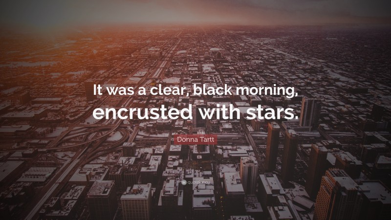 Donna Tartt Quote: “It was a clear, black morning, encrusted with stars.”