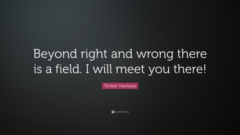 Timber Hawkeye Quote: “Beyond right and wrong there is a field. I will meet you there!”